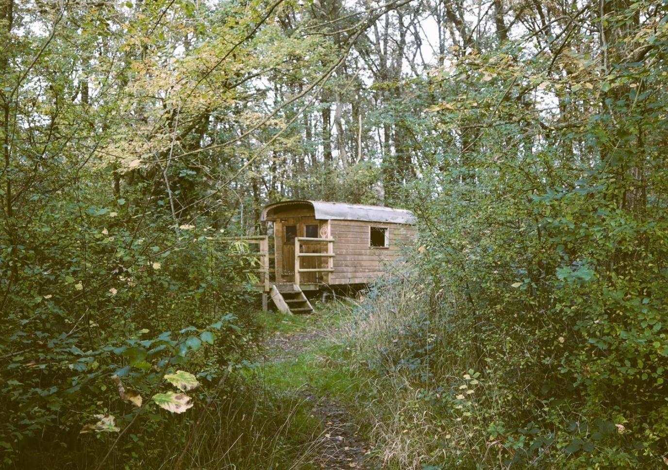 Hotel Le Bois Davy à Le Thoureil Extérieur photo